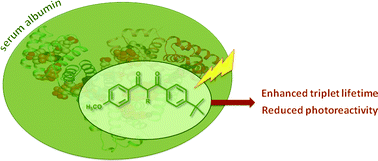 Graphical abstract: Photochemical and photophysical properties of dibenzoylmethane derivatives within protein