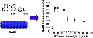 Graphical abstract: The effect of molecular weight on the supramolecular interaction between a conjugated polymer and single-walled carbon nanotubes
