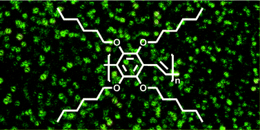 Graphical abstract: Tetra-alkoxy substituted PPV derivatives: a new class of highly soluble liquid crystalline conjugated polymers