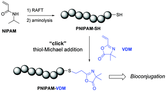 Graphical abstract: Synthesis of thermoresponsive oxazolone end-functional polymers for reactions with amines using thiol-Michael addition “click” chemistry