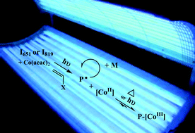 Graphical abstract: Synthetic and mechanistic inputs of photochemistry into the bis-acetylacetonatocobalt-mediated radical polymerization of n-butyl acrylate and vinyl acetate