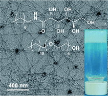 Graphical abstract: Nonionic surfactant-induced stabilization and tailorability of sugar-amphiphile hydrogels