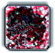 Graphical abstract: Binding of 6-mer single-stranded homo-nucleotides to poly(3,4-ethylenedioxythiophene): specific hydrogen bonds with guanine