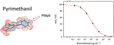 Graphical abstract: Antibody generation and immunoassay development in diverse formats for pyrimethanil specific and sensitive analysis