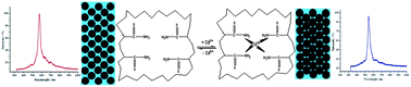 Graphical abstract: Thiourea functionalized hydrogel photonic crystal sensor for Cd2+ detection