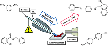 Graphical abstract: Screening of cosmetic ingredients from authentic formulations and environmental samples with desorption electrospray ionization mass spectrometry