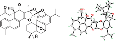 Graphical abstract: Przewalskone: a cytotoxic adduct of a danshenol type terpenoid and an icetexane diterpenoid via hetero-Diels–Alder reaction from Salvia przewalskii