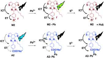 Graphical abstract: Novel dithieno-benzo-imidazole-based Pb2+ sensors: substituent effects on sensitivity and reversibility