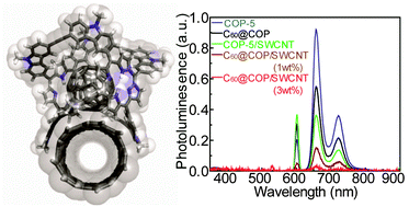 Graphical abstract: Semiconducting carbon nanotube and covalent organic polyhedron–C60 nanohybrids for light harvesting