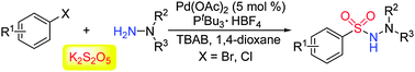 Graphical abstract: A palladium-catalyzed reaction of aryl halides, potassium metabisulfite, and hydrazines