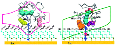 Graphical abstract: Heme plane orientation dependent direct electron transfer of cytochrome c at SAMs/Au electrodes with different wettability