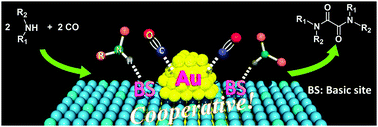 Graphical abstract: Highly efficient double-carbonylation of amines to oxamides using gold nanoparticle catalysts