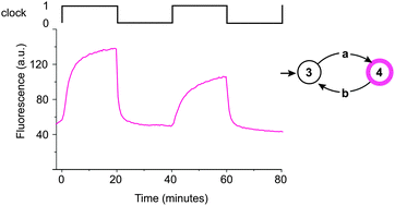 Graphical abstract: A clocked finite state machine built from DNA