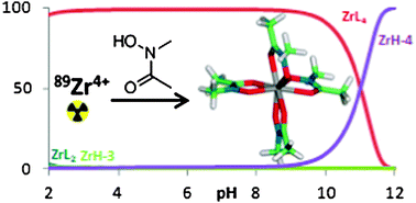 Graphical abstract: Investigation of Zr(iv) and 89Zr(iv) complexation with hydroxamates : progress towards designing a better chelator than desferrioxamine B for immuno-PET imaging