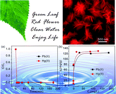 Graphical abstract: Self-assembled, monodispersed, flower-like γ-AlOOH hierarchical superstructures for efficient and fast removal of heavy metal ions from water