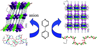 Graphical abstract: Auxiliary ligand-directed and counter anion-templated effects on coordination networks based on semirigid 2-aminodiacetic terephthalic acid ligand
