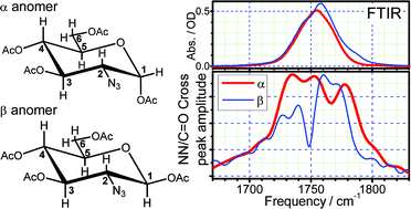 Graphical abstract: Discrimination between coupling networks of glucopyranosides varying at a single stereocenter using two-dimensional vibrational correlation spectroscopy