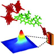 Graphical abstract: Quantitative investigations of quantum coherence for a light-harvesting protein at conditions simulating photosynthesis