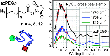 Graphical abstract: Ballistic energy transport along PEG chains: distance dependence of the transport efficiency
