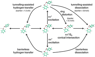 Graphical abstract: Hydrogen bond dynamics in the excited states: Photodissociation of phenol in clusters