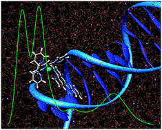 Graphical abstract: Spectral properties of polypyridyl ruthenium complexes intercalated in DNA: theoretical insights into the surrounding effects of [Ru(dppz)(bpy)2]2+