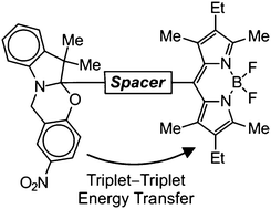 Graphical abstract: Insights into the isomerization of photochromic oxazines from the excitation dynamics of BODIPY–oxazine dyads