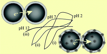 Graphical abstract: Hydrothermal core–shell carbon nanoparticle films: thinning the shell leads to dramatic pH response