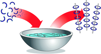 Graphical abstract: Dynamic imine chemistry
