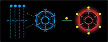 Graphical abstract: Biosensors and chemosensors based on the optical responses of polydiacetylenes