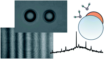 Graphical abstract: Exploring the complexity of aerosol particle properties and processes using single particle techniques