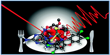 Graphical abstract: Fingerprinting food: current technologies for the detection of food adulteration and contamination
