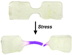 Graphical abstract: Dye-containing polymers: methods for preparation of mechanochromic materials