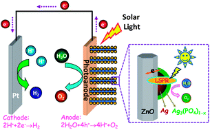 Graphical abstract: Plasmonic Ag@Ag3(PO4)1−x nanoparticle photosensitized ZnO nanorod-array photoanodes for water oxidation