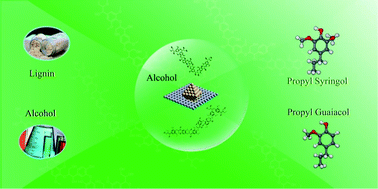 Graphical abstract: Lignin depolymerization (LDP) in alcohol over nickel-based catalysts via a fragmentation–hydrogenolysis process