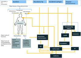 Graphical abstract: Potential environmental implications of nano-enabled medical applications: critical review