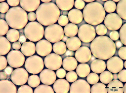 Graphical abstract: Coupling in vitro gastrointestinal lipolysis and Caco-2 cell cultures for testing the absorption of different food emulsions