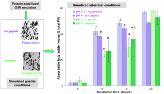 Graphical abstract: Gastric conditions control both the evolution of the organization of protein-stabilized emulsions and the kinetic of lipolysis during in vitro digestion