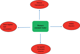 Graphical abstract: Hypoglycemic and antioxidant potential of coconut water in experimental diabetes