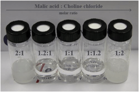 Graphical abstract: New natural and renewable low transition temperature mixtures (LTTMs): screening as solvents for lignocellulosic biomass processing