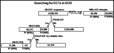 Graphical abstract: TrAnsFuSE refines the search for protein function: oxidoreductases