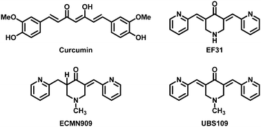 Graphical abstract: Novel curcumin analogue UBS109 potently stimulates osteoblastogenesis and suppresses osteoclastogenesis: involvement in Smad activation and NF-κB inhibition