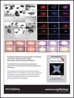 Graphical abstract: Back cover