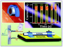 Graphical abstract: Highly sensitive metal–insulator–semiconductor UV photodetectors based on ZnO/SiO2 core–shell nanowires