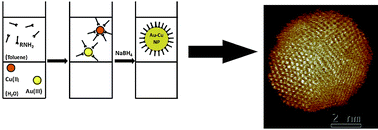 Graphical abstract: Amines as dual function ligands in the two-phase synthesis of stable AuxCu(1−x) binary nanoalloys