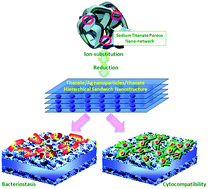 Graphical abstract: In situ construction of a titanate–silver nanoparticle–titanate sandwich nanostructure on a metallic titanium surface for bacteriostatic and biocompatible implants