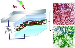 Graphical abstract: Nanowires of oligothiophene-functionalized naphthalene diimides: self assembly, morphology, and all-nanowire bulk heterojunction solar cells