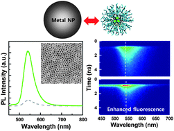 Graphical abstract: Correlation of micellar structures with surface-plasmon-coupled fluorescence in a strategy for fluorescence enhancement