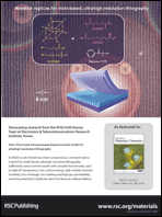 Graphical abstract: Back cover