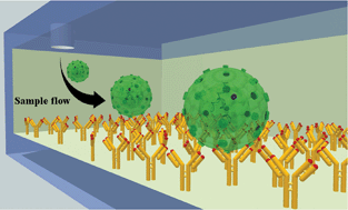 Graphical abstract: Efficient on-chip isolation of HIV subtypes