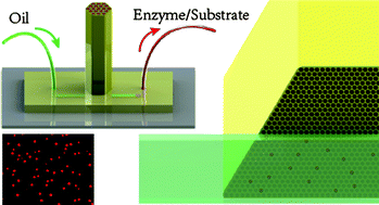 Graphical abstract: Oil-sealed femtoliter fiber-optic arrays for single molecule analysis